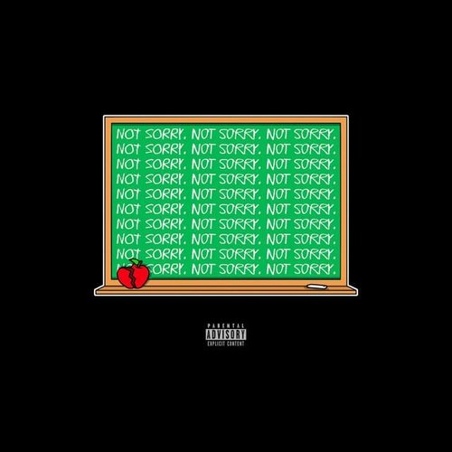 Not Sorry - Single