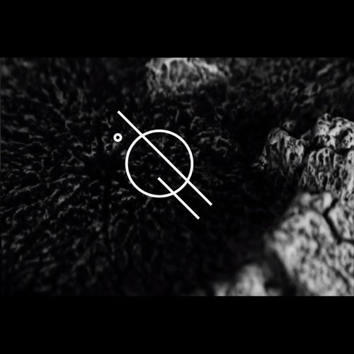 Holding On - Single