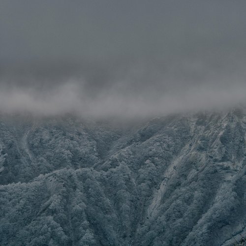 In The Misty Dream Till The Dawn