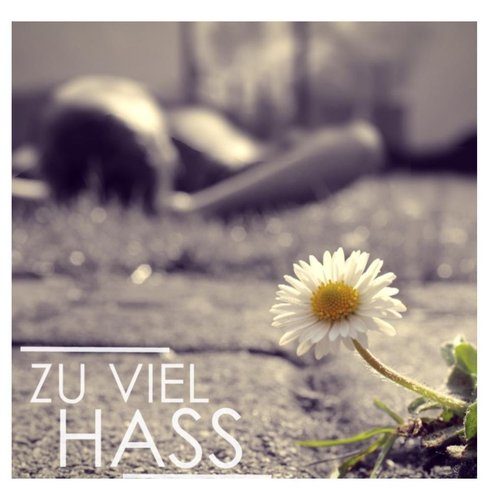 Zu viel Hass