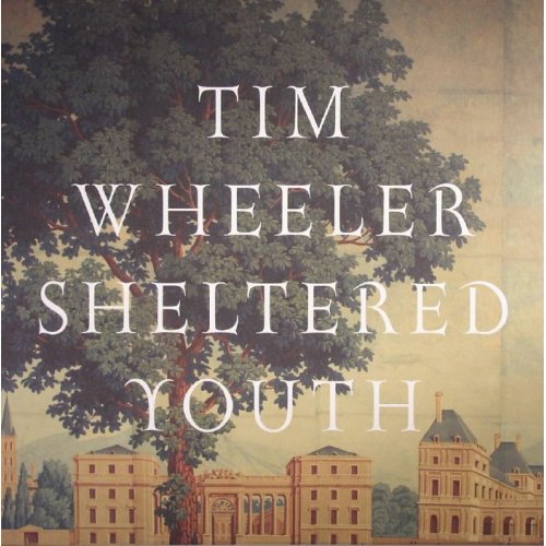Sheltered Youth