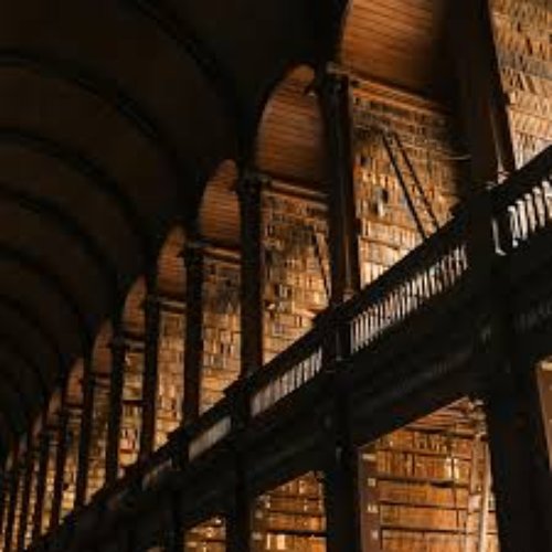 The Hidden Library - Single