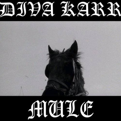 Mule