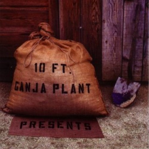 10 Ft. Ganja Plant Presents