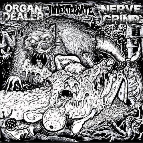 Organ Dealer/ Nerve Grind/ Invertebrate