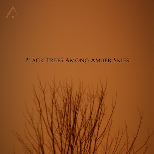 Black Trees Among Amber Skies