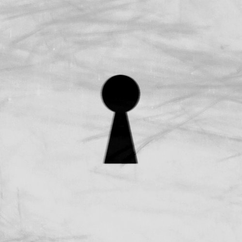 The Voyeurist