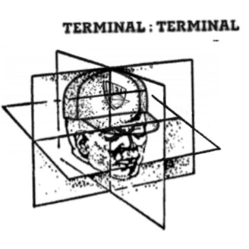 TERMINAL : TERMINAL