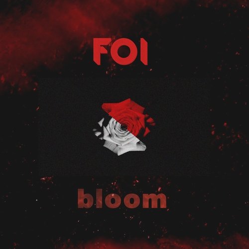 Bloom