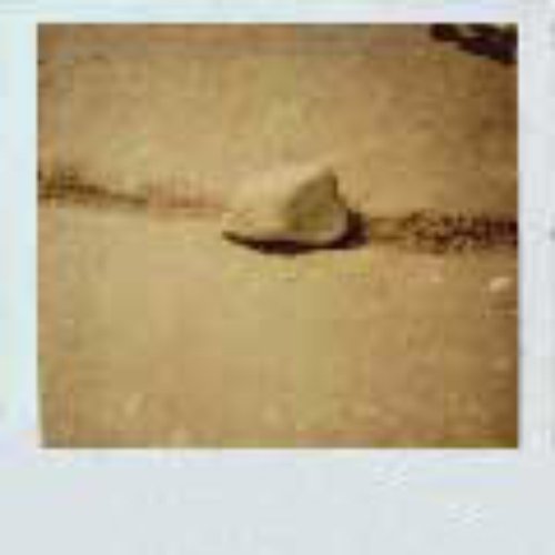Polaroid