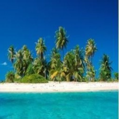 Paradisio