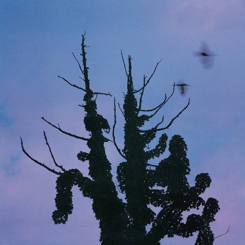 木盤