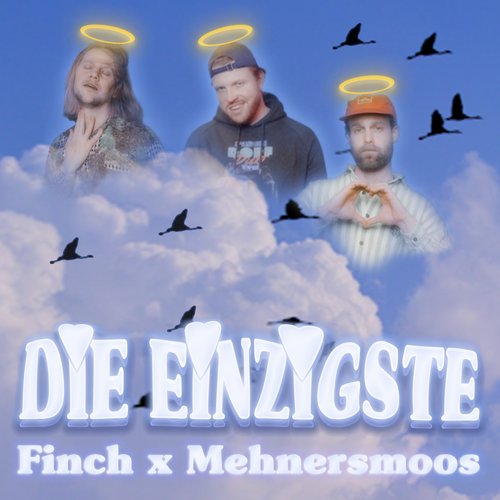 DiE EiNZiGSTE - Single