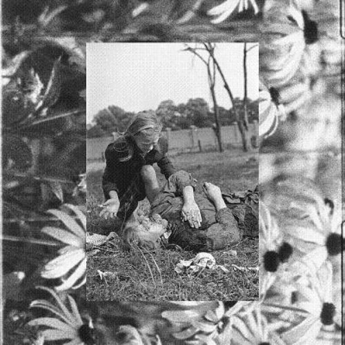 Wojtek