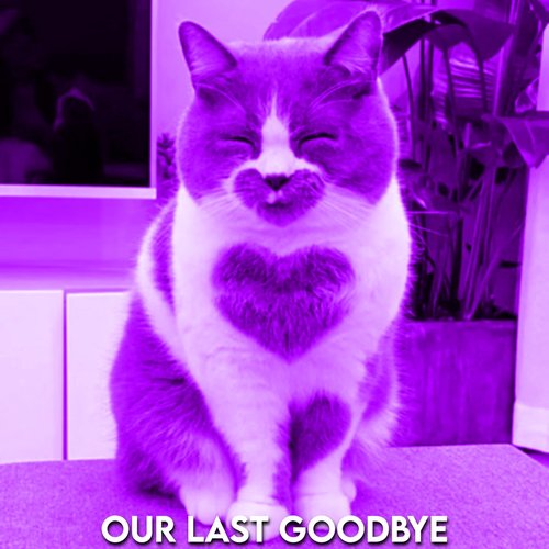 Our Last Goodbye