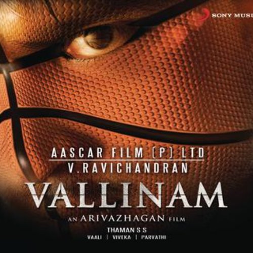 Vallinam (Original Motion Picture Soundtrack)