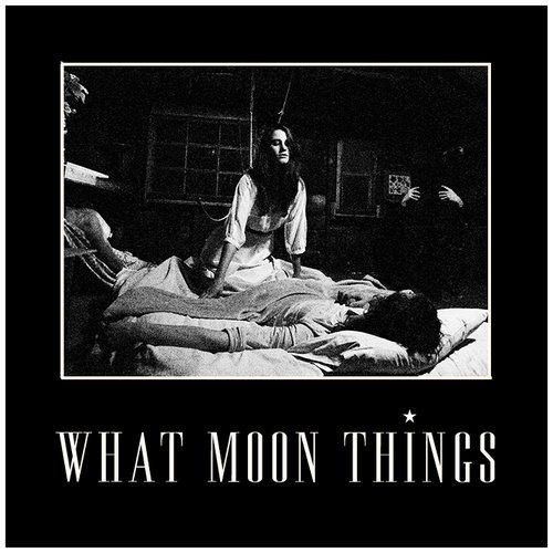 What Moon Things