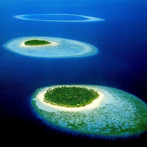 Sargasso Sea