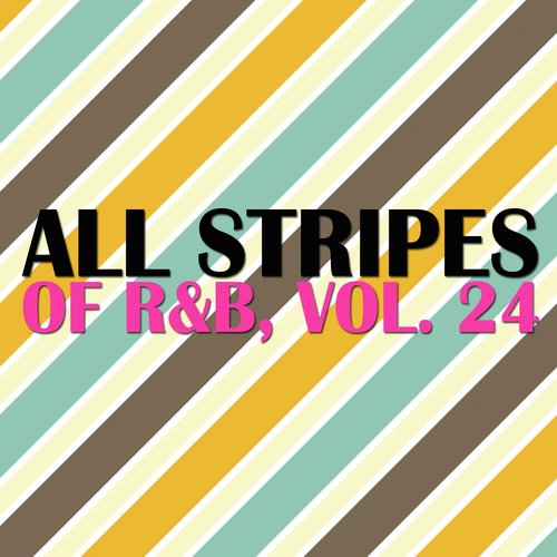 All Stripes Of R&B, Vol. 24