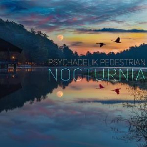 Nocturnia