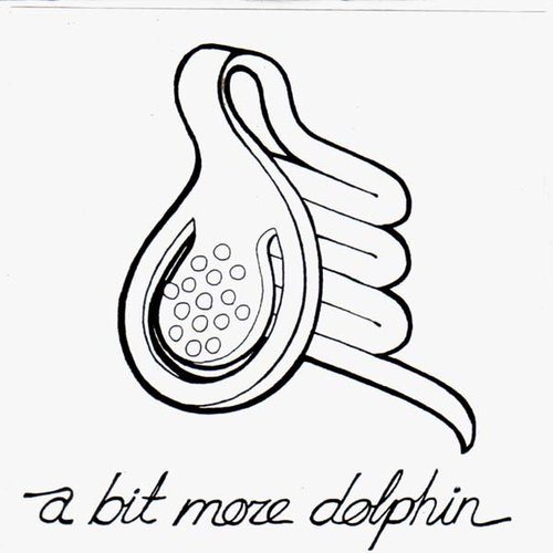 a bit more Dolphin