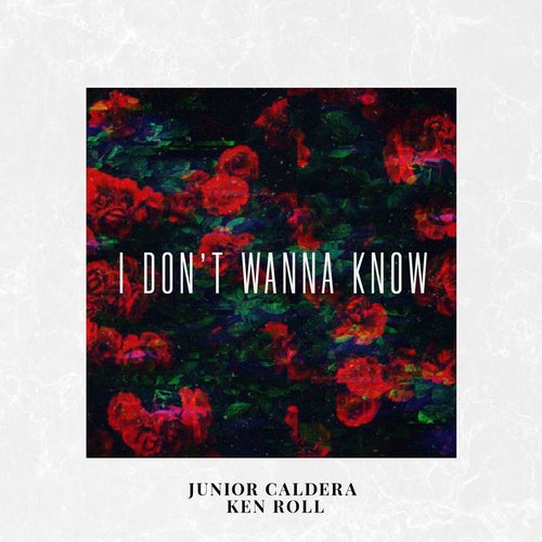 I Don't Wanna Know - Single