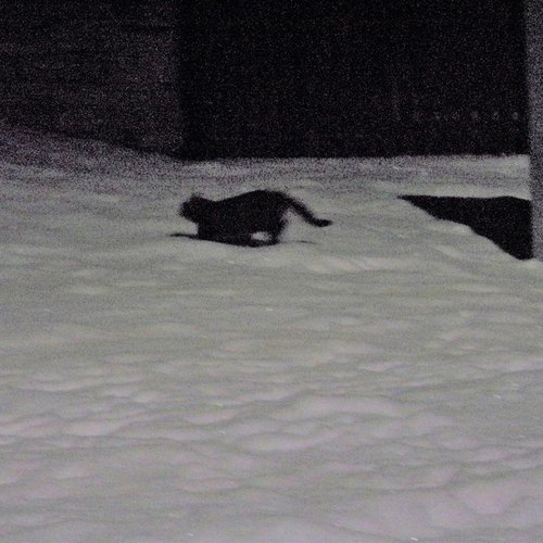 Nikogda - Single