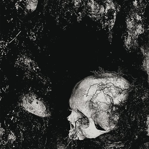 Decadence of Ego