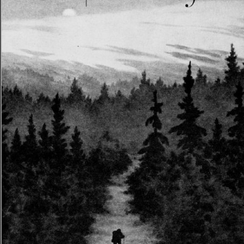High Above The Timberlines Of Jerall