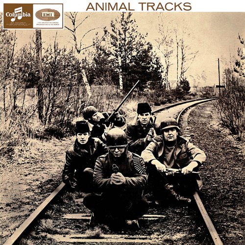 Animal Tracks