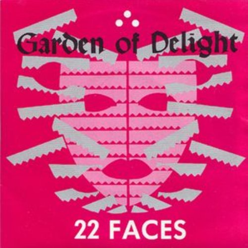 22 Faces