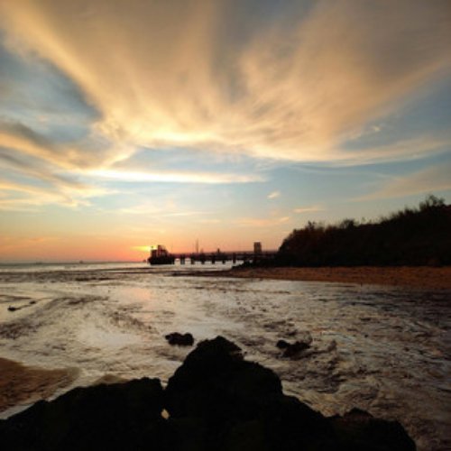 black nerd collection