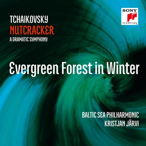 Evergreen Forest in Winter