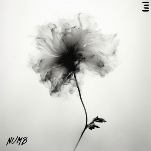 Numb - Single
