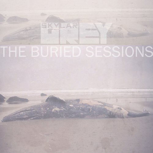 The Buried Sessions Of Skylar Grey