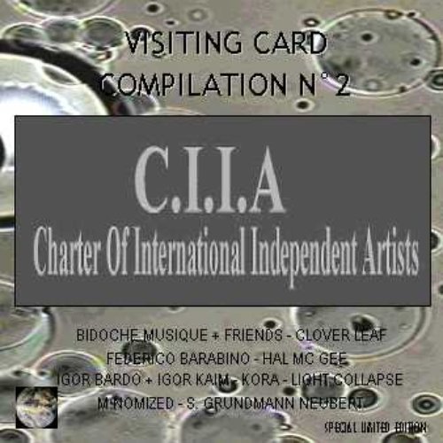 C.I.I.A VISITING CARD COMPILATION N°2 (2006)