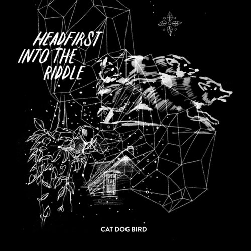 Headfirst Into the Riddle