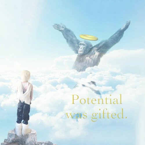 Potential Was Gifted - Single
