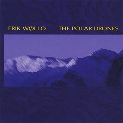 The Polar Drones