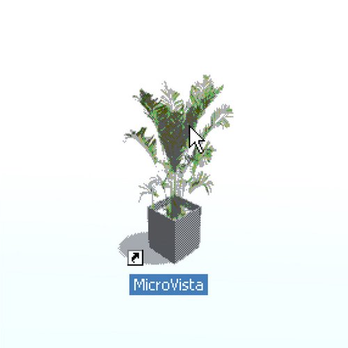MicroVista