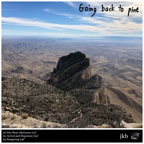 Going back to pine