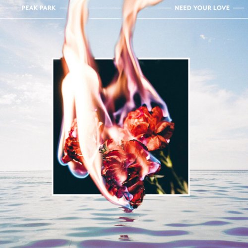 Need Your Love
