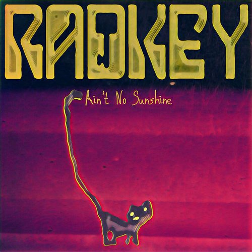 Ain't No Sunshine - Single