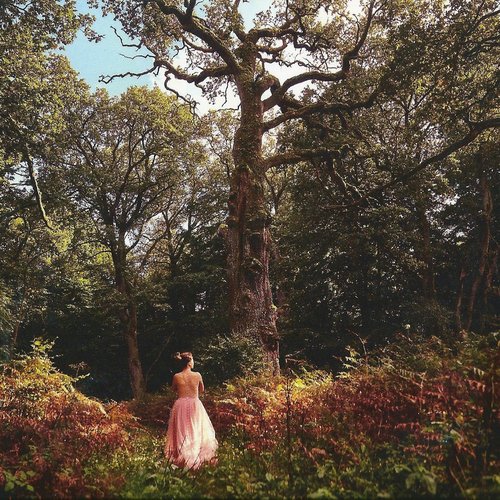Wandering Trees