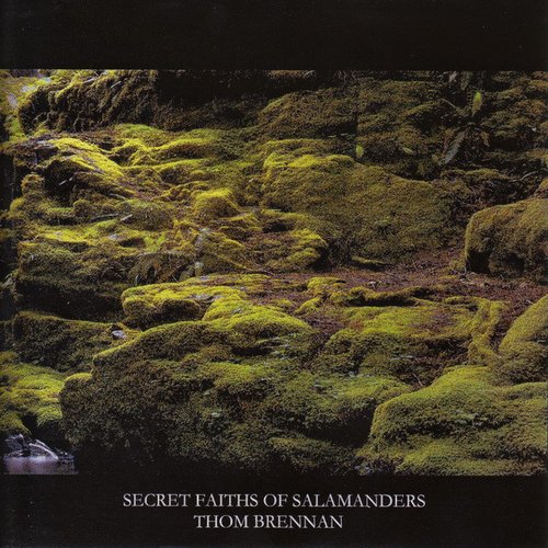 Secret Faiths Of Salamanders