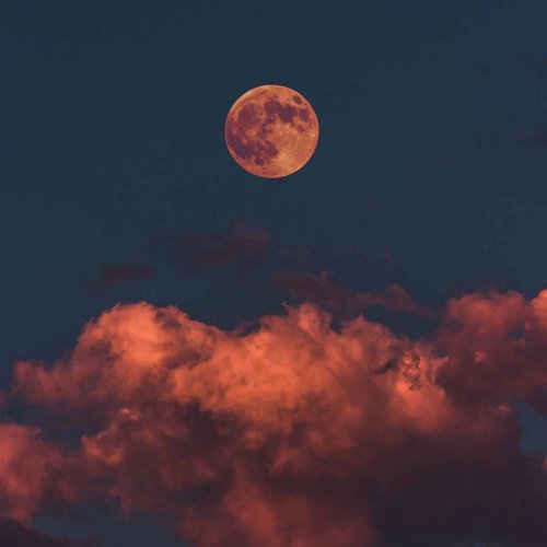 Cycle - Single