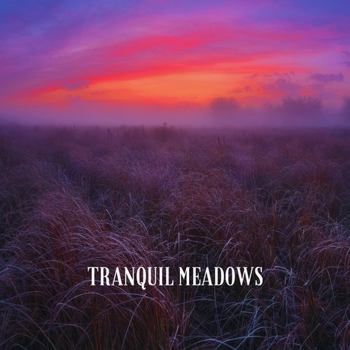Tranquil Meadows - Single