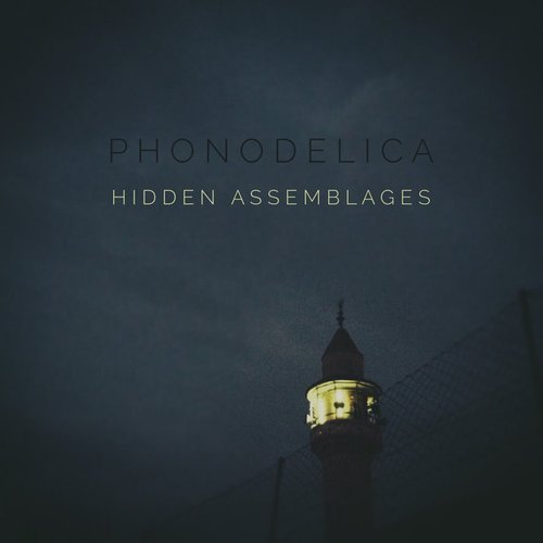 HIDDEN ASSEMBLAGES