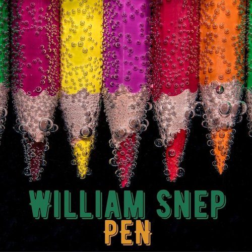 Pen - Single