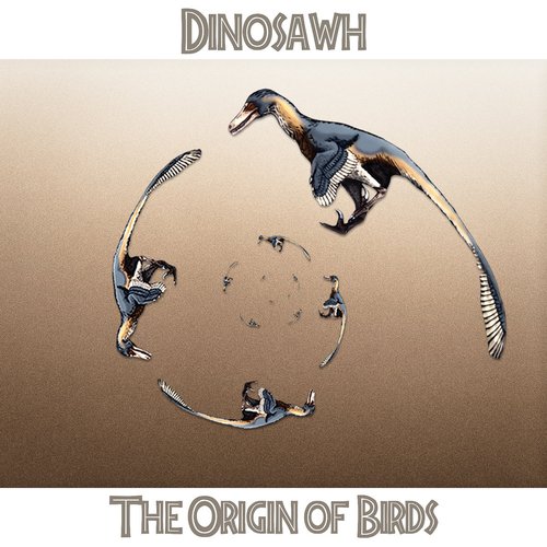 The Origin of Birds